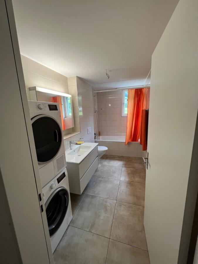 Schattdorf Great New Apartment Surrounded By Nature. מראה חיצוני תמונה