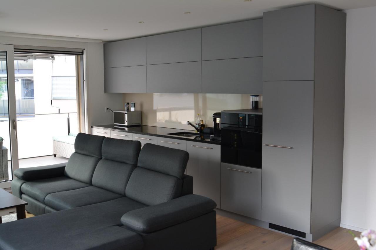 Schattdorf Great New Apartment Surrounded By Nature. מראה חיצוני תמונה