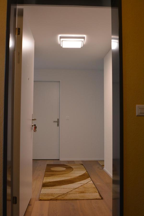 Schattdorf Great New Apartment Surrounded By Nature. מראה חיצוני תמונה